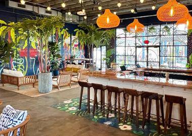 Tropically Inspired Immersive Art Bar & Lounge with HUGE Patio Just Outside of Uptown
